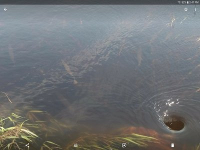 Screenshot_20180708-144725.jpg Screenshot_20180708-144725.jpg