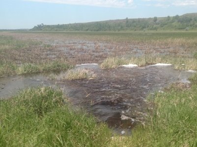 Screenshot_20180708-153836.jpg Screenshot_20180708-153836.jpg