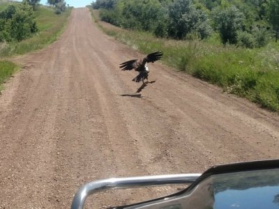 Screenshot_20180713-175646.jpg Screenshot_20180713-175646.jpg