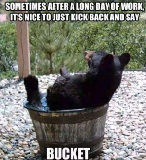 36884109_10214336007928064_7030285315164078080_n.jpg 36884109_10214336007928064_7030285315164078080_n.jpg