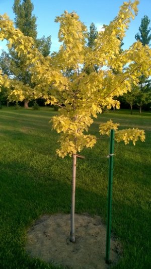 WP_20180728_011.jpg WP_20180728_011.jpg