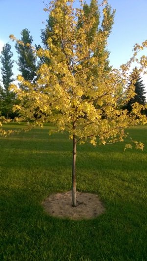 WP_20180728_013.jpg WP_20180728_013.jpg