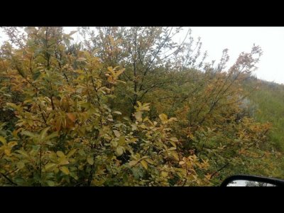 Screenshot_20180801-211750.jpg Screenshot_20180801-211750.jpg