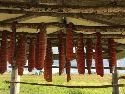 salmon jerky.jpg salmon jerky.jpg