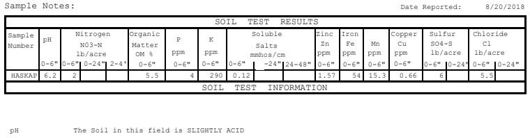 soiltest40.JPG