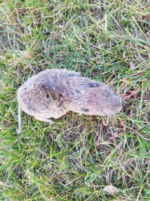 20180927_175642.jpg 20180927_175642.jpg