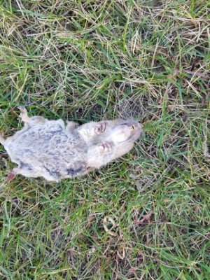 20180927_175635.jpg 20180927_175635.jpg