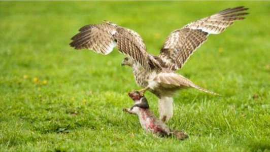 AR-151119894.jpg AR-151119894.jpg