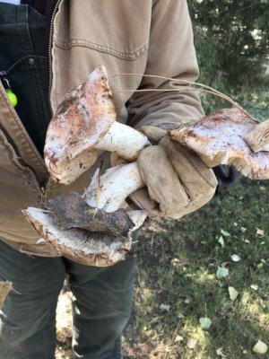 IMG_0105.jpg IMG_0105.jpg