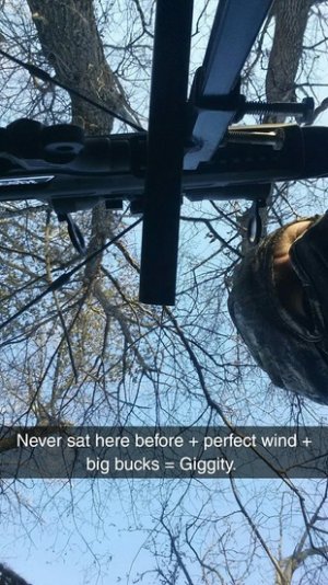 Snapchat-723853583 (1).jpg