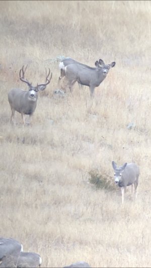 9063FB06-D76C-4A39-A8A9-FD705679A162.jpg 9063FB06-D76C-4A39-A8A9-FD705679A162.jpg