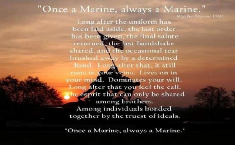 marine-corp-quotes-lovely-semperfi-for-marine-corps-birthday-2015-top-10-quotes-of-marine-corp-q.jpg