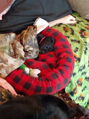 1124181038.jpg 1124181038.jpg