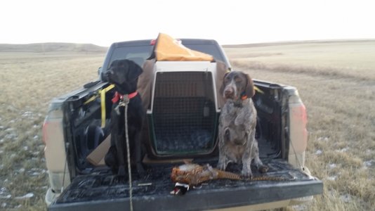 rudy 10.jpg rudy 10.jpg