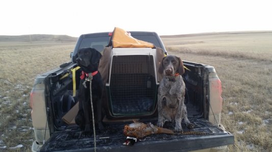 rudy11.jpg rudy11.jpg