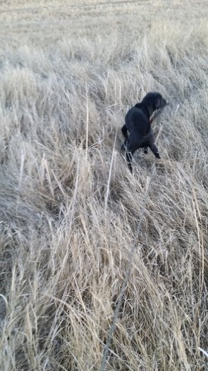 rudy12.jpg rudy12.jpg