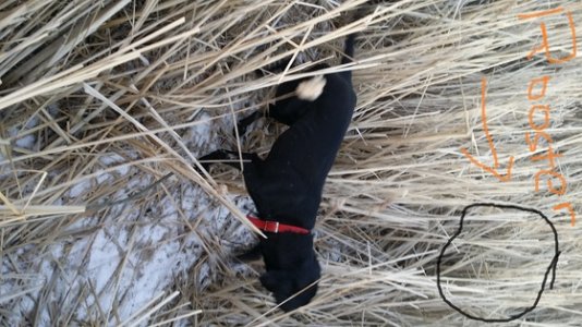 rudy14.jpg rudy14.jpg