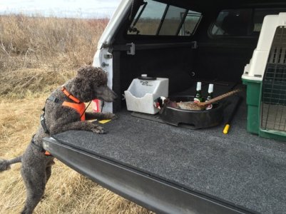 2015-11-29 12.48.42 HDR.jpg