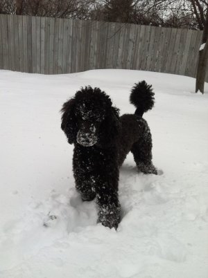 2013-02-13 12.09.39.jpg