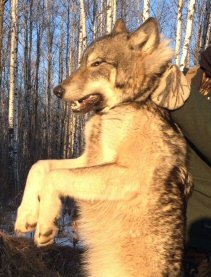 IMG_0037 (4).JPG IMG_0037 (4).JPG