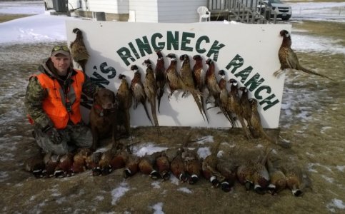 WP_20151219_005 (1).jpg WP_20151219_005 (1).jpg