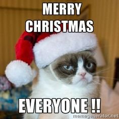 Merry-Christmas-Cat-Meme-061.jpg