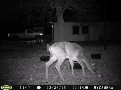 PICT0026.jpg PICT0026.jpg