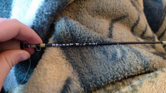 FB_IMG_1451183170806.jpg FB_IMG_1451183170806.jpg