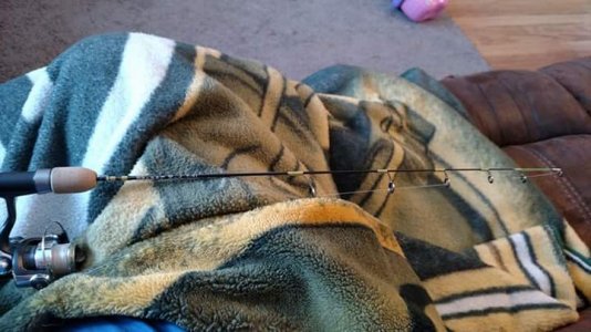 FB_IMG_1451183179077.jpg FB_IMG_1451183179077.jpg