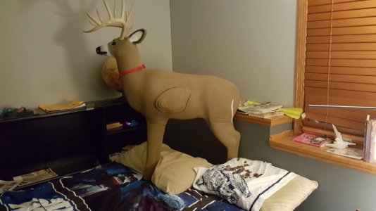 20151224_232409.jpg 20151224_232409.jpg