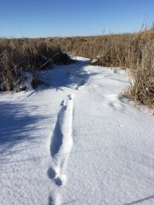 2016-01-02 12.54.17.jpg