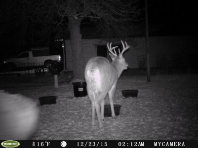 PICT0023.jpg PICT0023.jpg