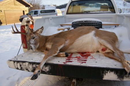 DSC02630.jpg DSC02630.jpg