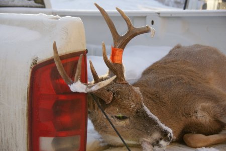 DSC02633.jpg DSC02633.jpg