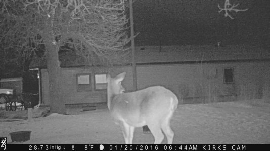 IMG_0149.jpg IMG_0149.jpg