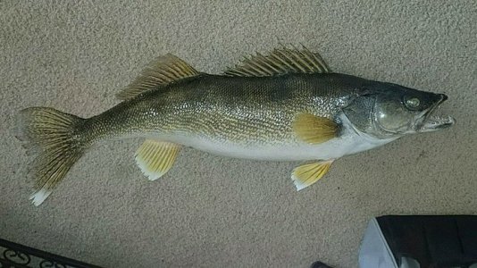 mount02.jpg mount02.jpg