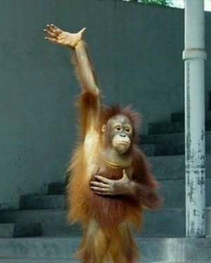 you-should-raise-your-hand~2.jpg you-should-raise-your-hand~2.jpg