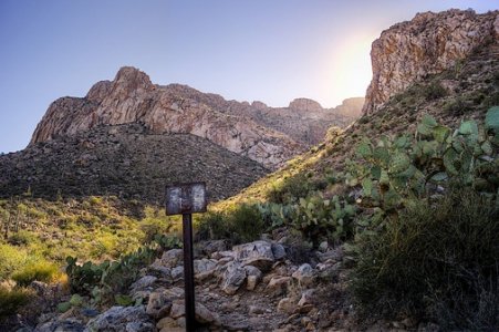1311-The-Junction-to-the-Pusch-Peak-Trail-For-Display.jpg