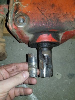 15500265765457271535098428402073.jpg 15500265765457271535098428402073.jpg