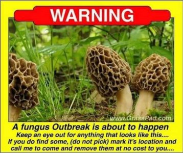 FB_IMG_1550259028480.jpg FB_IMG_1550259028480.jpg