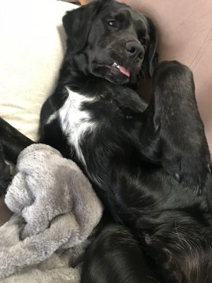 51F4B11F-0D2C-4650-AF60-85F2B24740B3.jpg 51F4B11F-0D2C-4650-AF60-85F2B24740B3.jpg