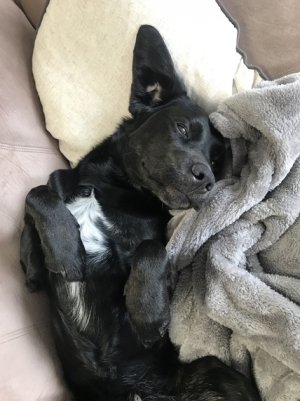 968D4503-8C79-4641-A50A-79E8350C1BAB.jpg 968D4503-8C79-4641-A50A-79E8350C1BAB.jpg