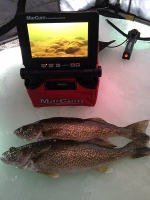 IMG_2641.jpg IMG_2641.jpg