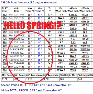 spring.png spring.png