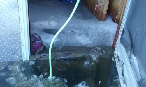 20190320_183913.jpg 20190320_183913.jpg