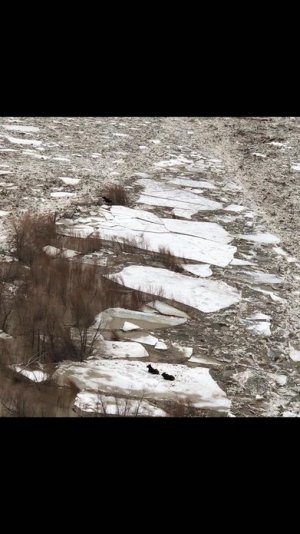 0E7AA3FA-A4F5-46CF-807C-503C3BB3BF16.jpg 0E7AA3FA-A4F5-46CF-807C-503C3BB3BF16.jpg