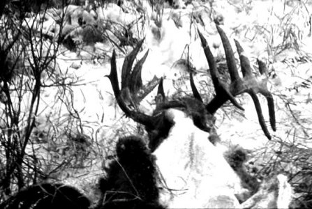 IMG_20180421_175320.jpg IMG_20180421_175320.jpg