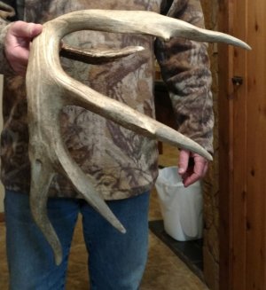 IMG_20180207_064159_993.jpg IMG_20180207_064159_993.jpg