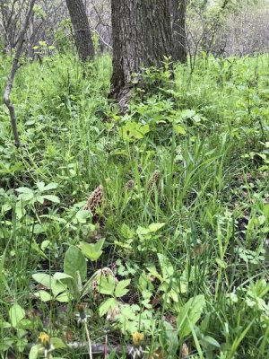 607E1811-95CF-40F2-9B18-A8007F25B594.jpg 607E1811-95CF-40F2-9B18-A8007F25B594.jpg