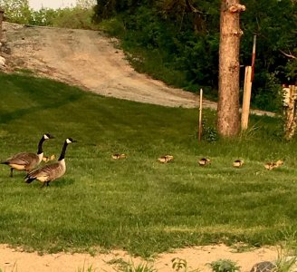 IMG_9742.jpg IMG_9742.jpg